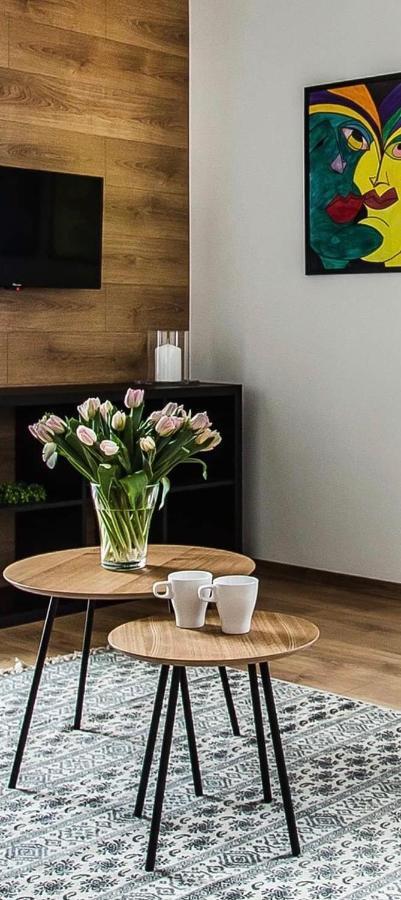 Apartament Nadbystrzycka No. 13 Lublin Kültér fotó